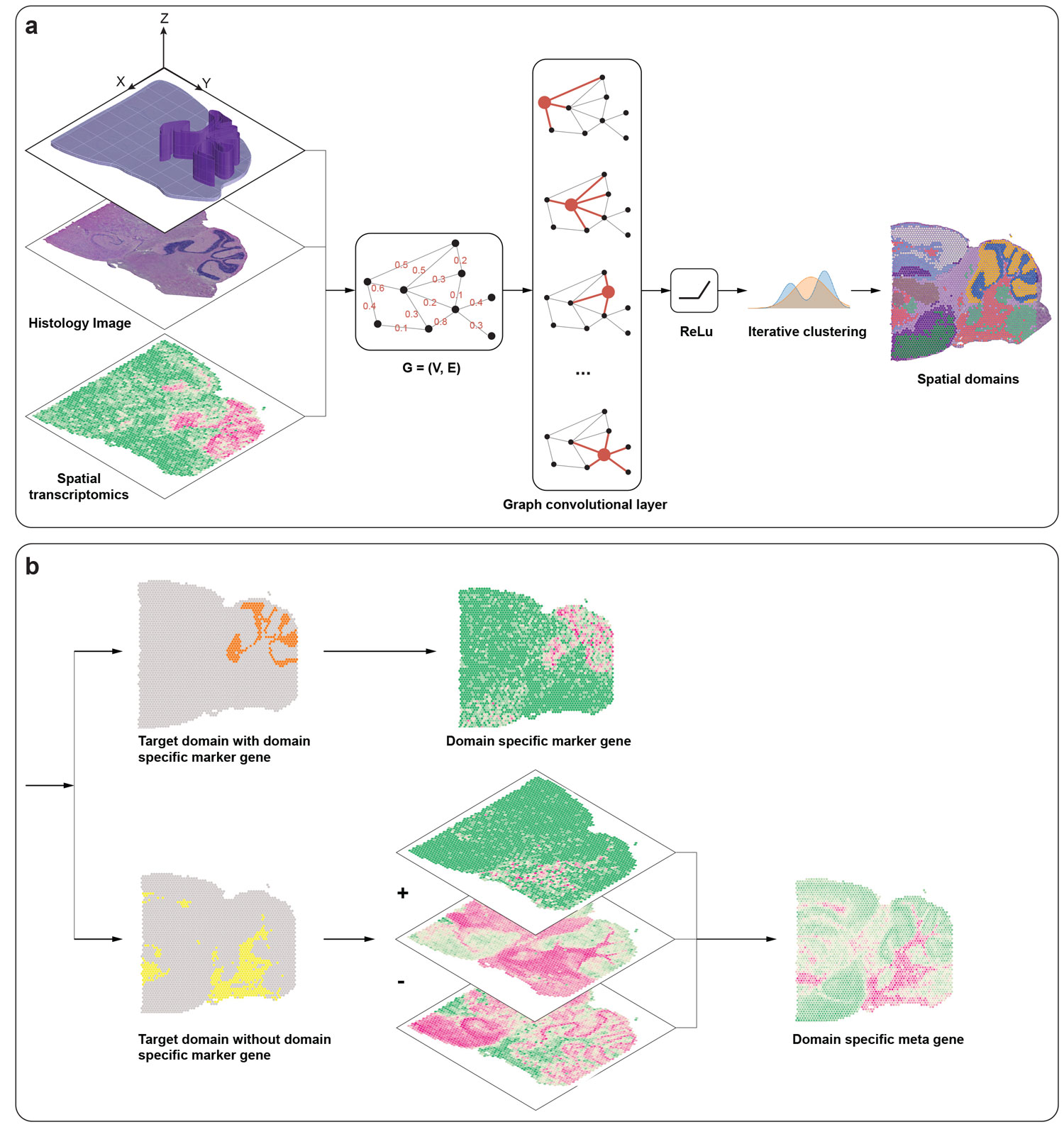 SpaGCN: Integrating gene expression, spatial location and histology to identify spatial domains and spatially variable genes by graph convolutional network