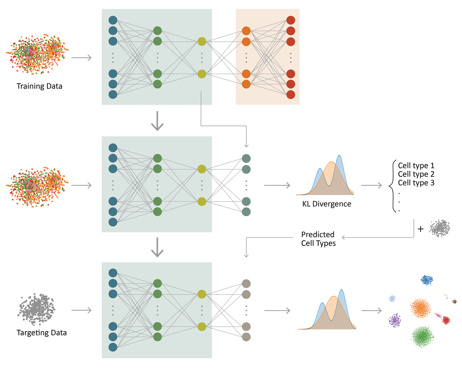 Iterative transfer learning with neural network for clustering and cell type classification in single-cell RNA-seq analysis