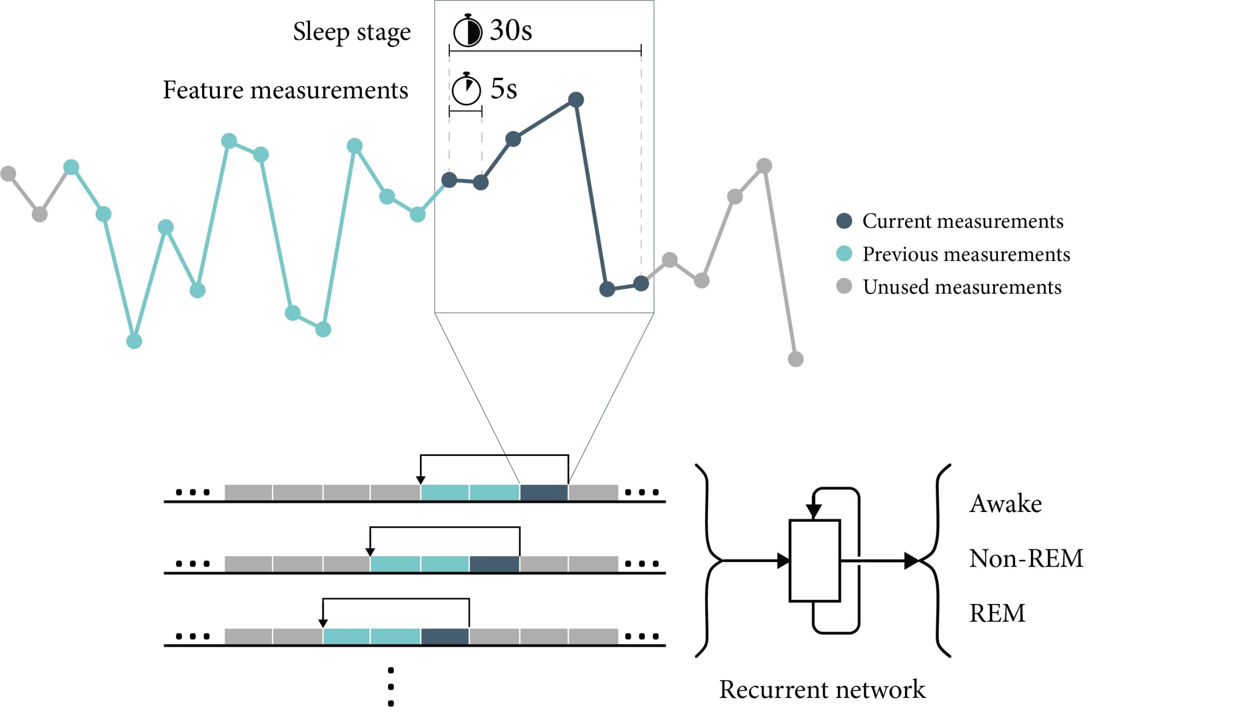 Three-level Sleep Stage Classification Based on Wrist-worn Accelerometry Data Alone