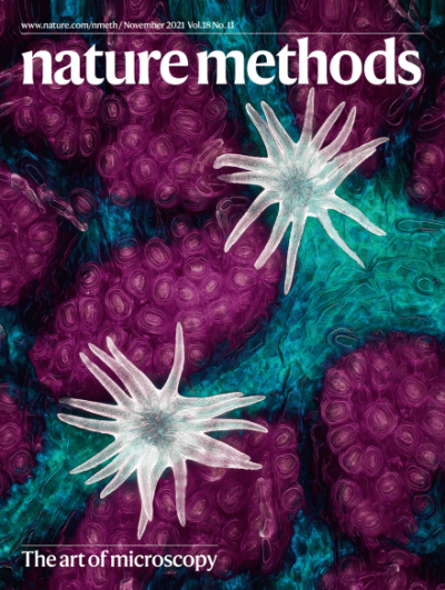 10/28/2021: Our article is on spotlight by Nature Methods